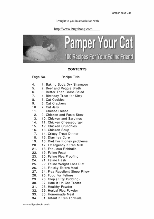 Product picture 100 recipes to pamper your cat.